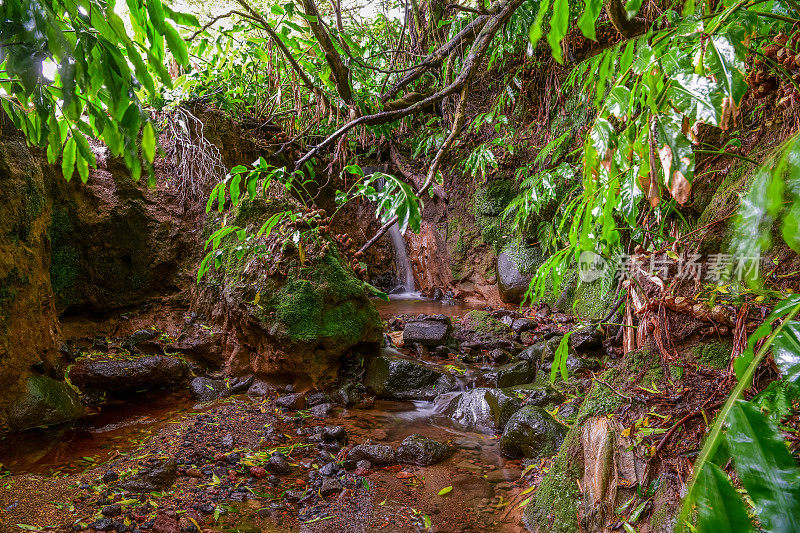 Ribeira do Faial da Terra Trail，葡萄牙亚速尔群岛圣米格尔岛